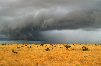 Barkly Tableland storm