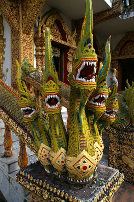 temple dragons