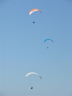 Paragliding at Torrey Pines Glider Port