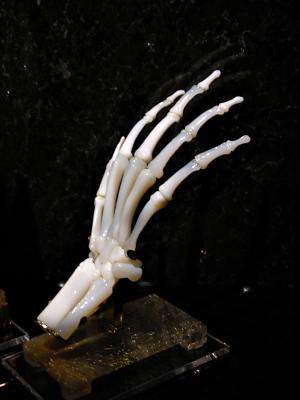 Carved jade skeletal hand
