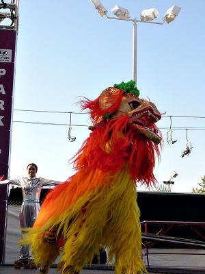 Peking Acrobats