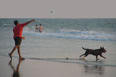 Playing Fetch Arambol