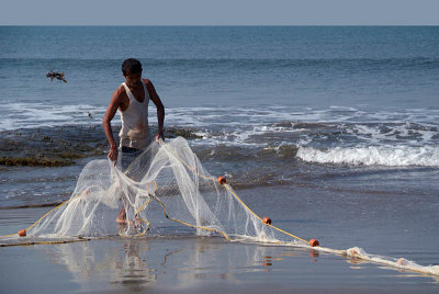 Fisherman Clearing the Net North Goa
