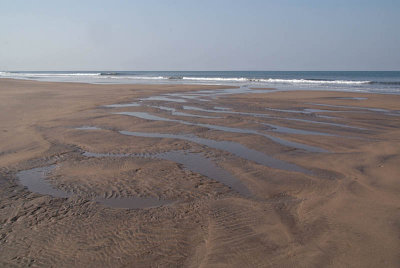 Wide Sandy Beach Mandrem 03