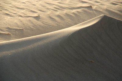 Sand Dunes on Mandrem Beach