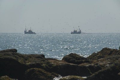 Fishing Trawlers off Patnem Beach
