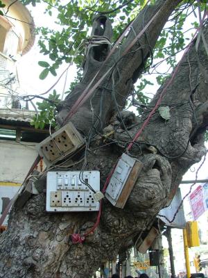 Electrici-tree