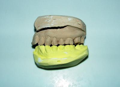 6/5/06 Gnashers