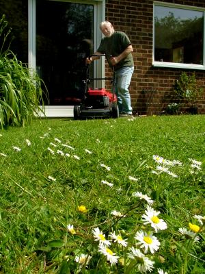 Beware the Daisy Killer