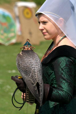 The Lady and her Falcon