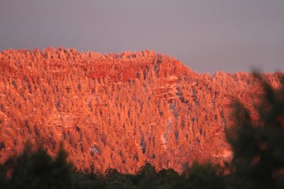 2011_11_06_ElkHuntScouting_0047.JPG
