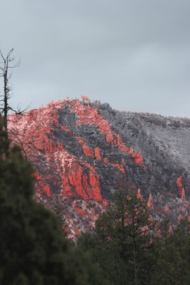 Elk Hunt Scouting