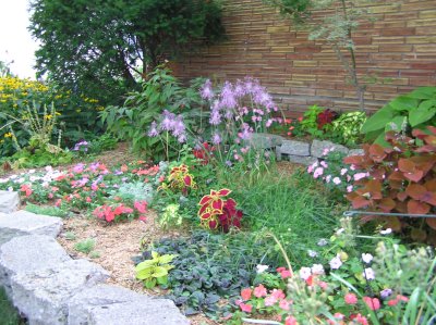 2006 front garden.JPG