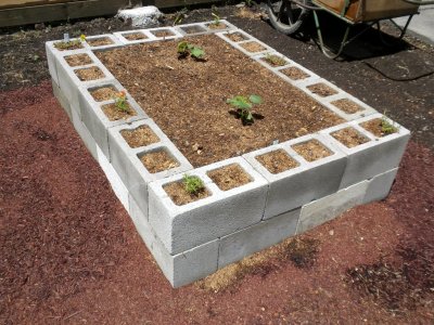 Raised Bed2.jpg