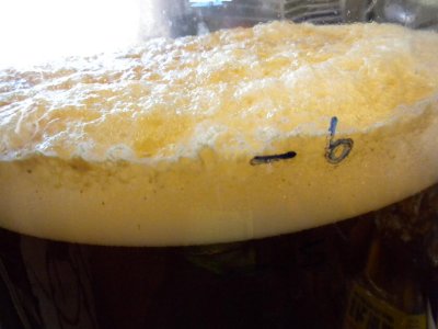 Beer4.JPG