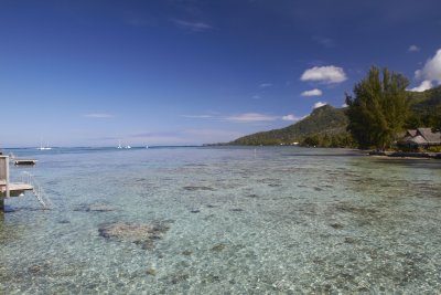 Another view from our bungalow - Sofitel Moorea