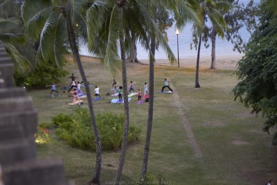 Yoga in the gardens