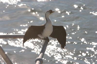 CRW_8192.jpg