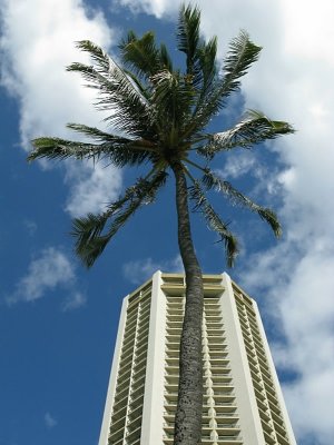 November ~ Nice 3hr stopover in Hawaii for Waikiki beach - IMG_2772.jpg