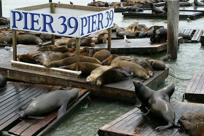 May ~ Vacation - San Francisco - IMG_5632.jpg