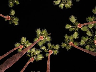 March ~ Co-hosted a workshop in Phoenix - IMG_7147.jpg