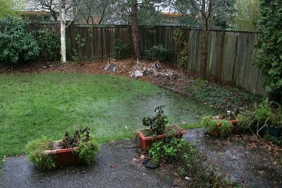 Home 2007
