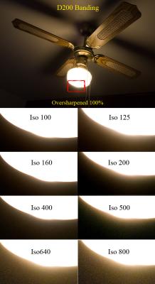 Nikon D200 Vertical Stripe / Banding / Corduroy Effect