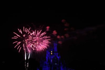 Wishes was everyone's favorite fireworks show
