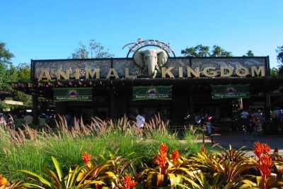 Disney's Animal Kingdom