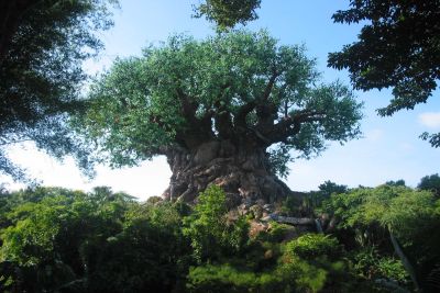 The Tree of Life