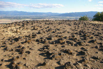 CL12_3013.JPG