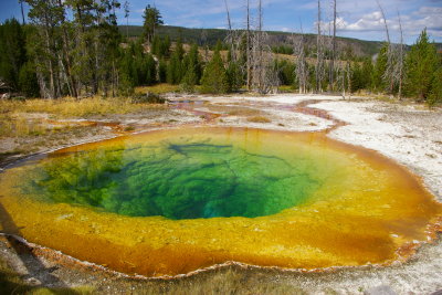 Upper Geyser Basin/ Morning Glory Pool