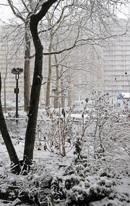 Snow Day