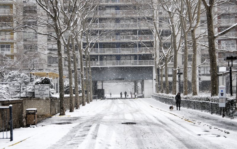 Snow Day