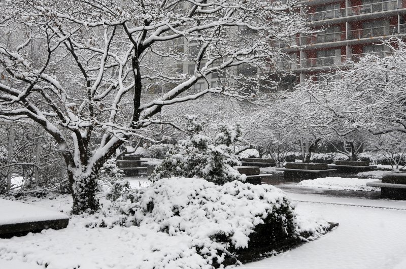 Snow Day
