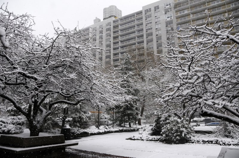 Snow Day