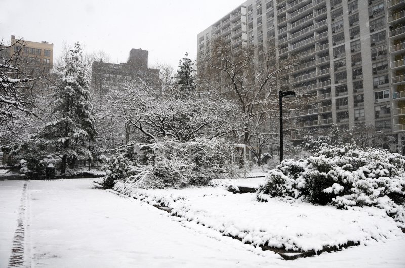 Snow Day