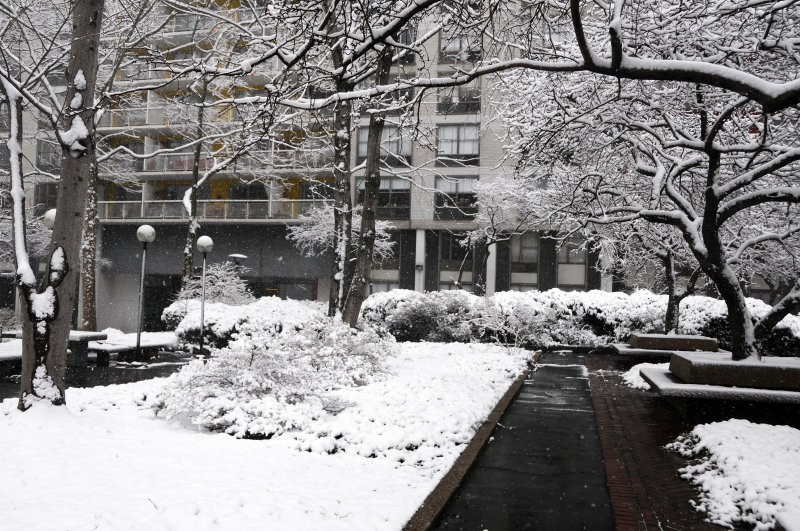 Snow Day