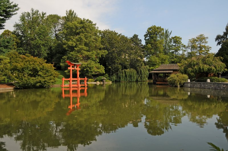 Japanese Pond & Garden