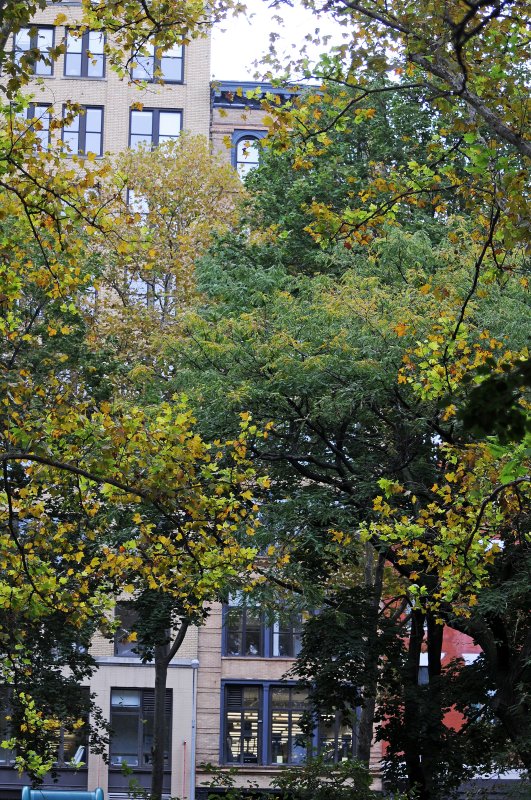 DSC_4734.JPG