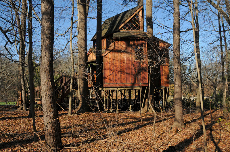 Canopy Cathedral Tree House