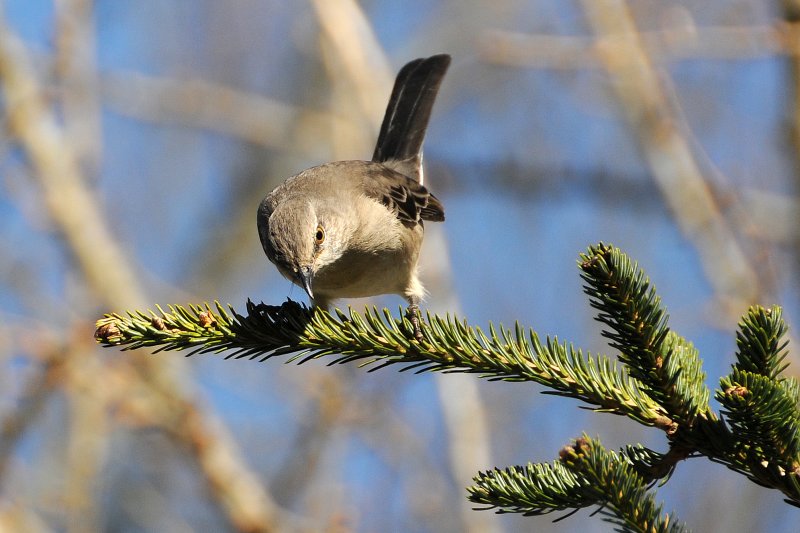 DSC_8104.JPG
