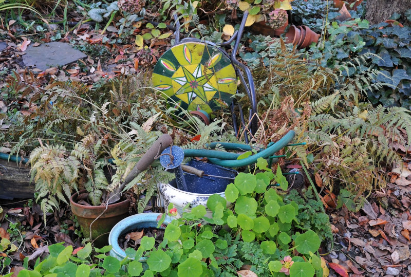 Garden Plot - Approaching Winter