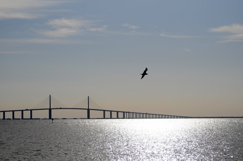 Tampa Bay Skyline Bridge