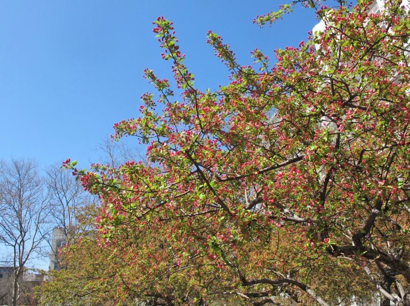 IMG_7908.JPG