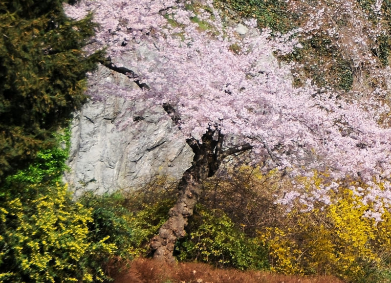 Earths Springtime Colors