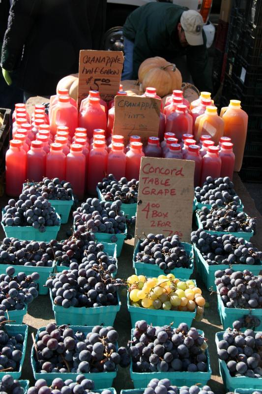 Concord Grapes & Apple Juice