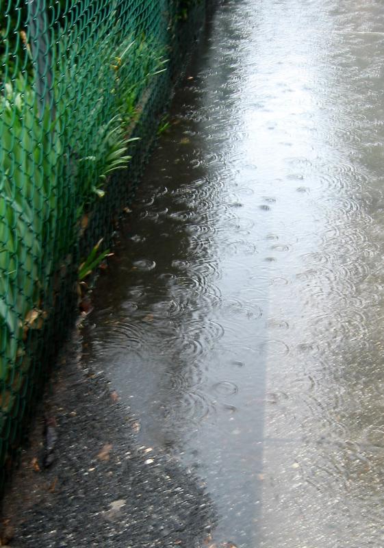 Rain Puddles