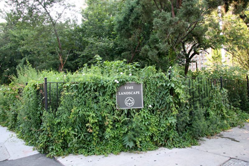 South End of the Time Landscape Garden