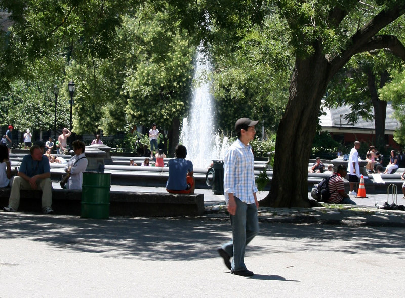 Fountain & Scholar Trees